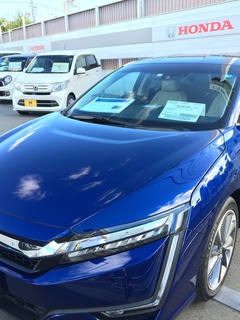 2e80d5d4935622d6-photo.JPG